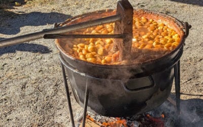 52nd Annual Apple Harvest a success